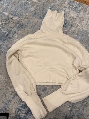 Aritzia Cropped Turtleneck Long-Sleeve Top